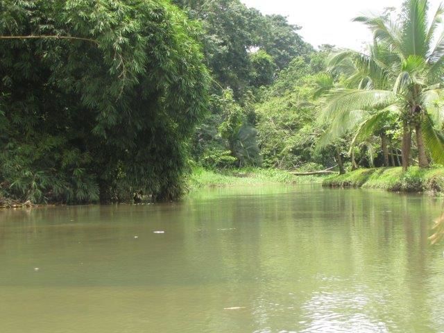 Costa Rica    cano negro